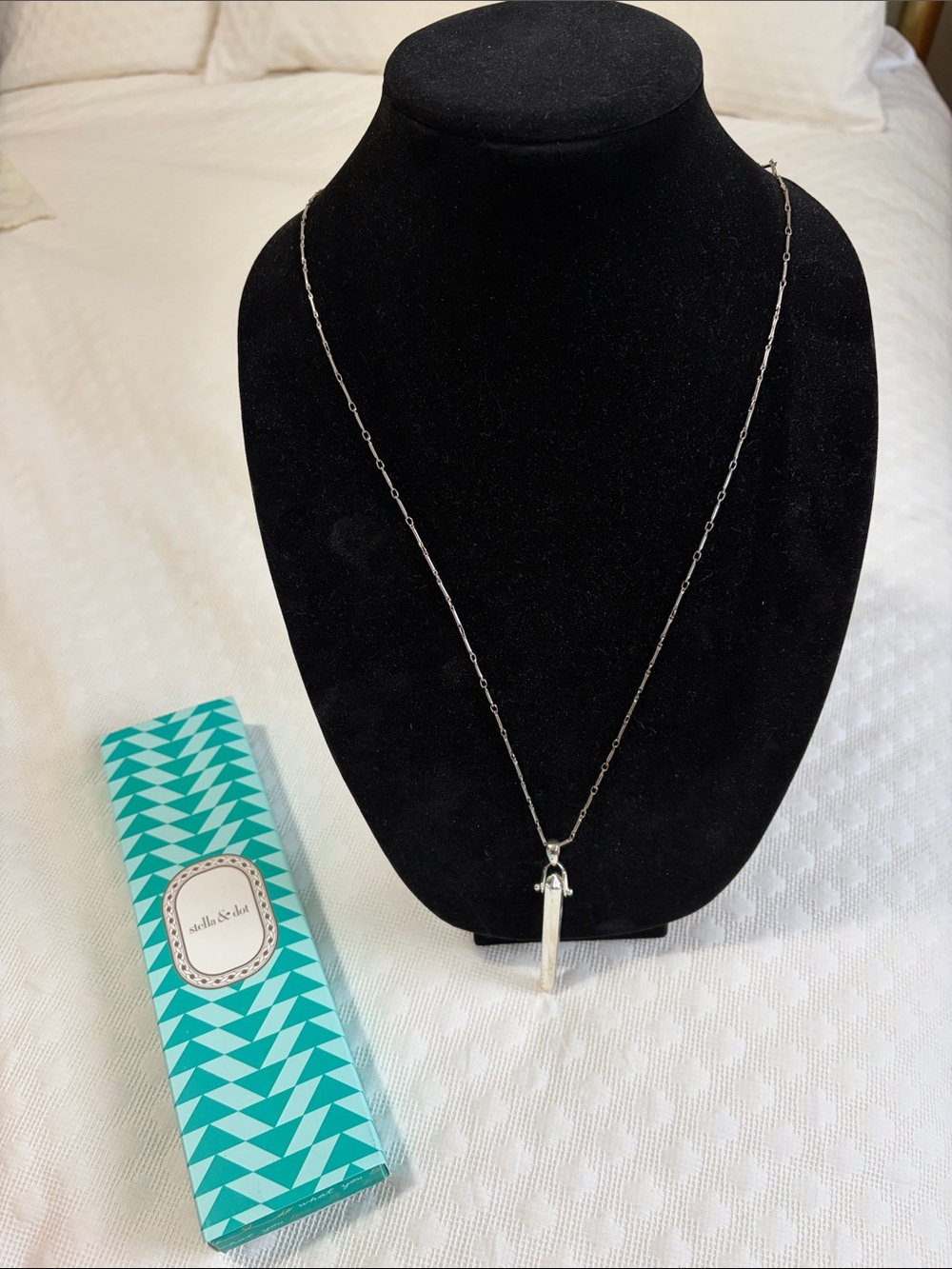 Stella & Dot Rebel Silver Tassel Pendant Necklace with Thin Chain
